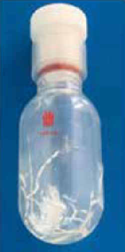 Synthware Pressure vessel P17D, heavy wall*, flask, protective covering application range -40°C and 80°C